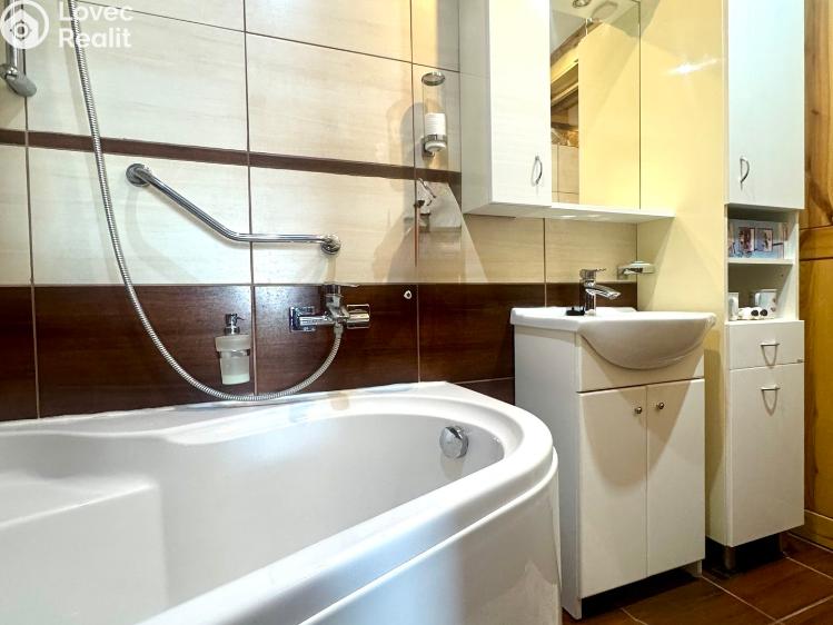 Продажа семейного дома Bor č. 32