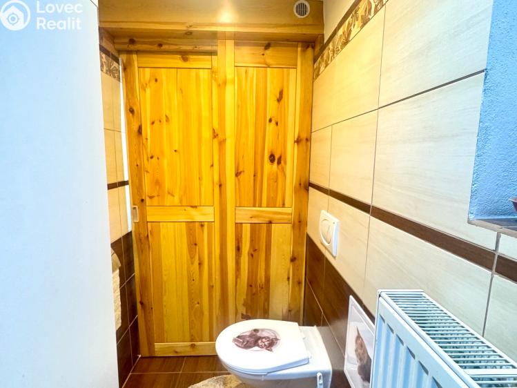 Продажа семейного дома Bor č. 33