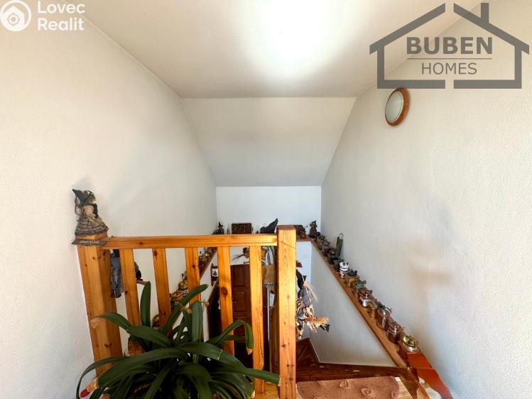 Продажа семейного дома Bor č. 41