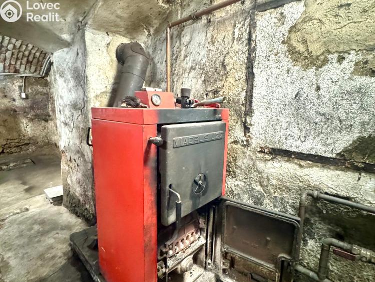 Продажа семейного дома Bor č. 44