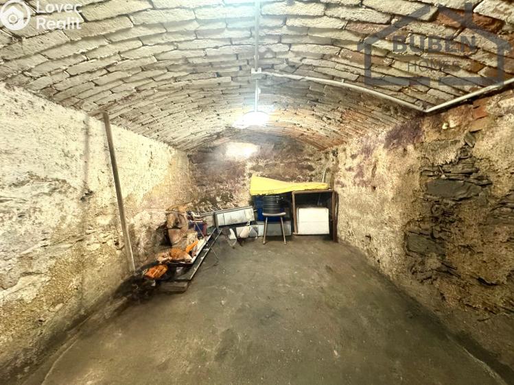 Продажа семейного дома Bor č. 46