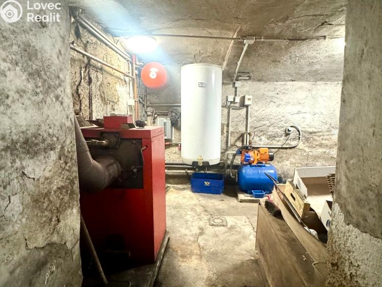 Продажа семейного дома Bor č. 48