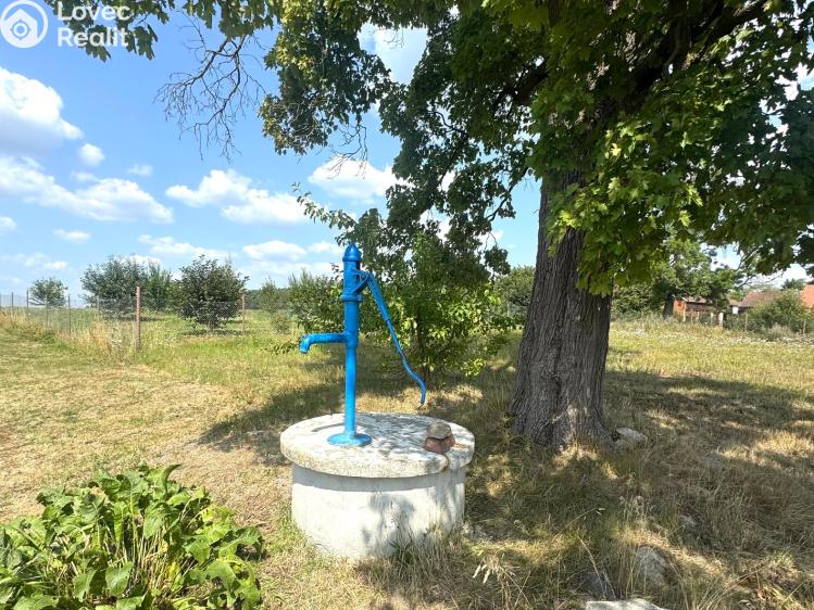 Продажа семейного дома Bor č. 51