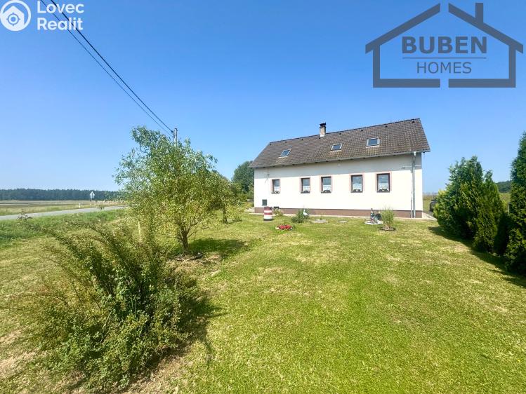 Продажа семейного дома Bor č. 54