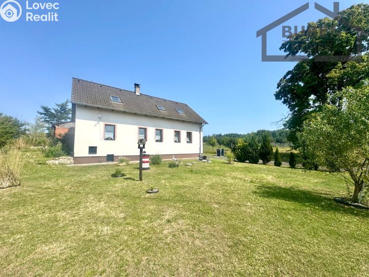 Продажа семейного дома Bor č. 59