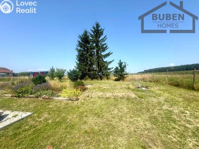 Продажа семейного дома Bor č. 6