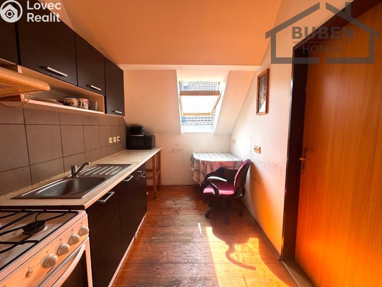 Sale family house Bor č. 2