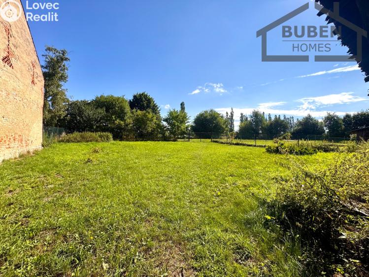 Sale family house Bor č. 10