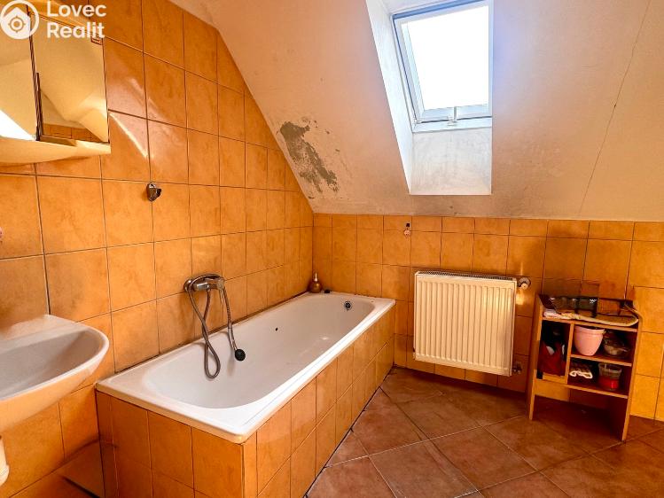 Sale family house Bor č. 26