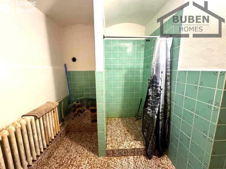 Sale family house Bor č. 34