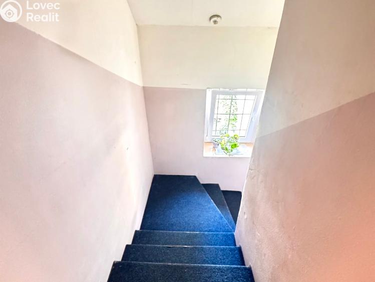 Sale family house Bor č. 37