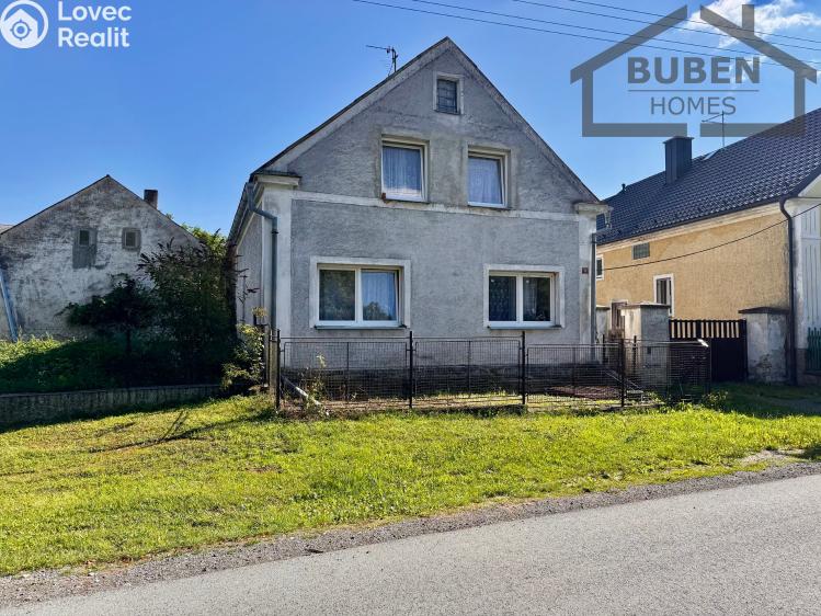 Sale family house Bor č. 46