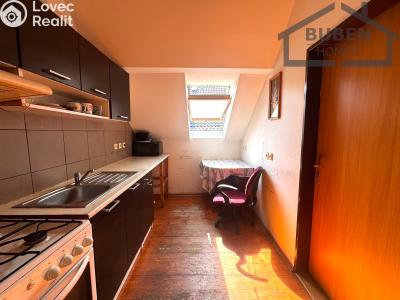 Продаж сімейного будинку Bor č. 2