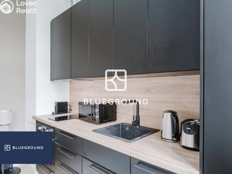 Rent apartment 1+KK Praha, Bořivojova č. 13