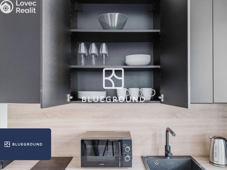 Rent apartment 1+KK Praha, Bořivojova č. 14