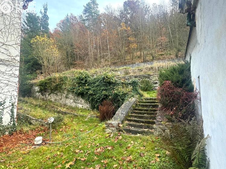 Sale family house Planá č. 7