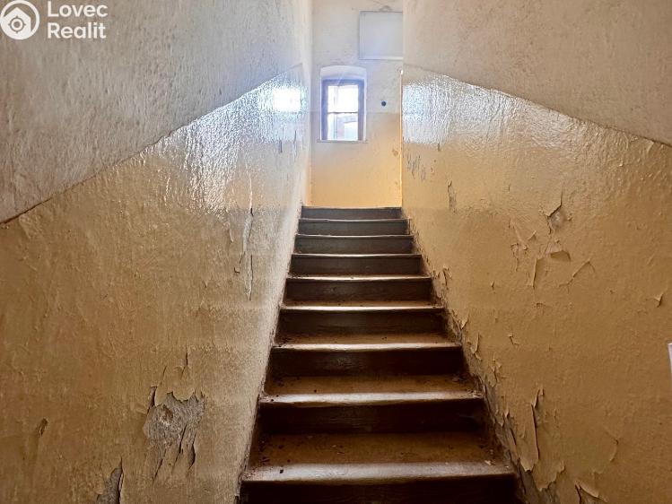 Sale family house Planá č. 46