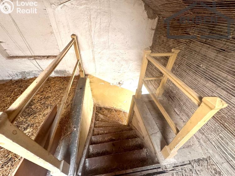 Sale family house Planá č. 55