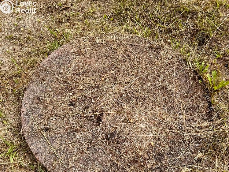 Sale family house Planá č. 65