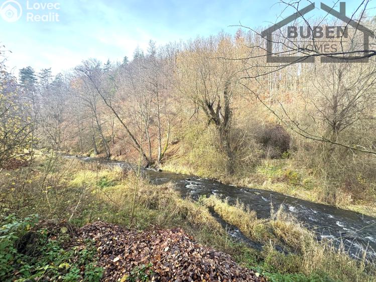 Sale family house Planá č. 75