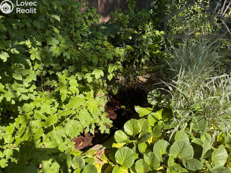 Продаж хатини Tachov č. 18