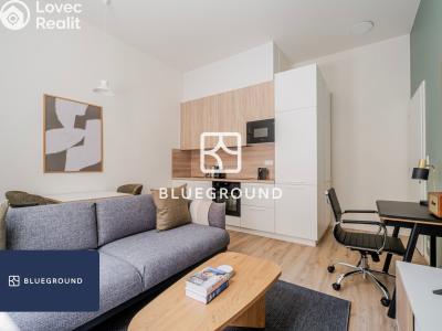 Rent apartment 2+KK Praha, Veletržní č. 4