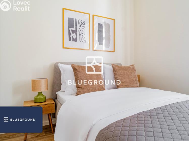 Pronájem bytu 1+KK Praha, Veletržní č. 7