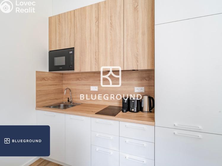 Pronájem bytu 1+KK Praha, Veletržní č. 9