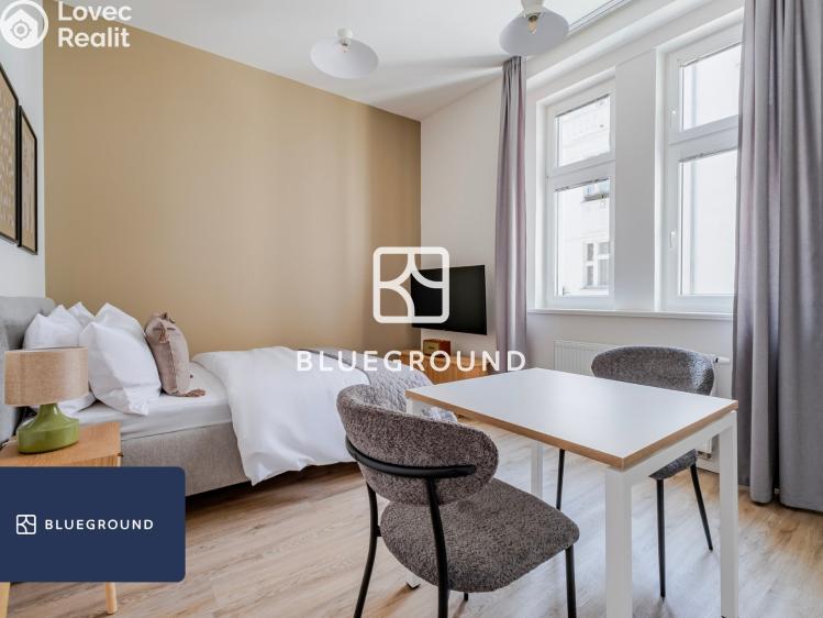 Pronájem bytu 1+KK Praha, Veletržní č. 1