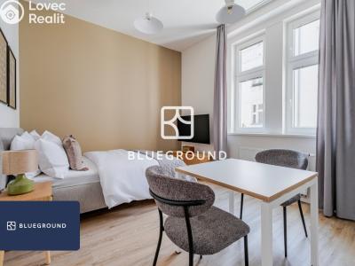 Rent apartment 1+KK Praha, Veletržní č. 1