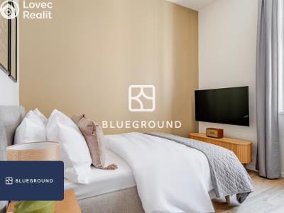 Rent apartment 1+KK Praha, Veletržní č. 3