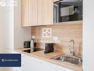 Rent apartment 1+KK Praha, Veletržní č. 6