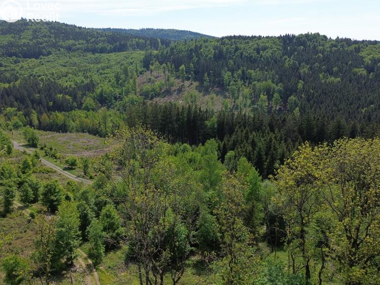 Sale family house Klenčí pod Čerchovem č. 15