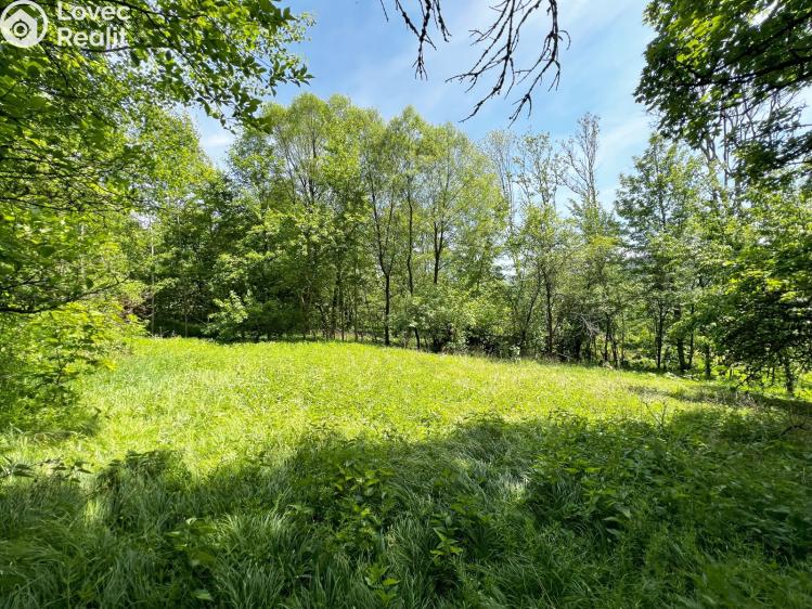 Sale family house Klenčí pod Čerchovem č. 16