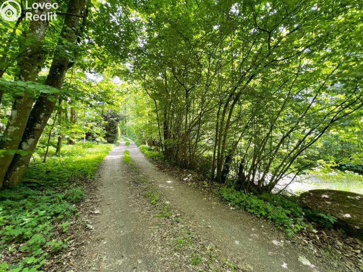 Sale family house Klenčí pod Čerchovem č. 19