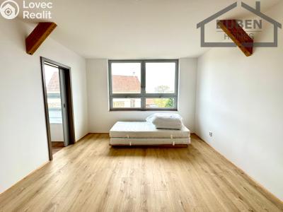 Продаж сімейного будинку Ošelín č. 6