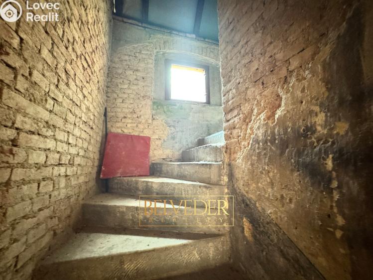 Sale family house Bílina, Teplická 140/76 č. 29