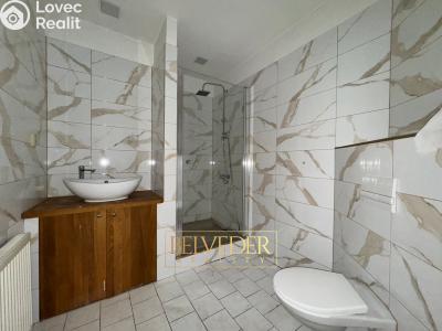 Продаж сімейного будинку Bílina, Teplická č. 4