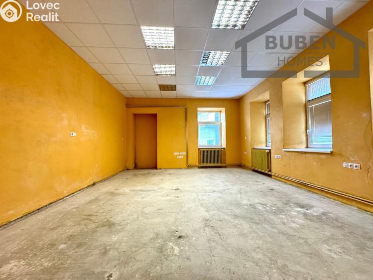 Аренда производственного цеха Staré Sedliště č. 8