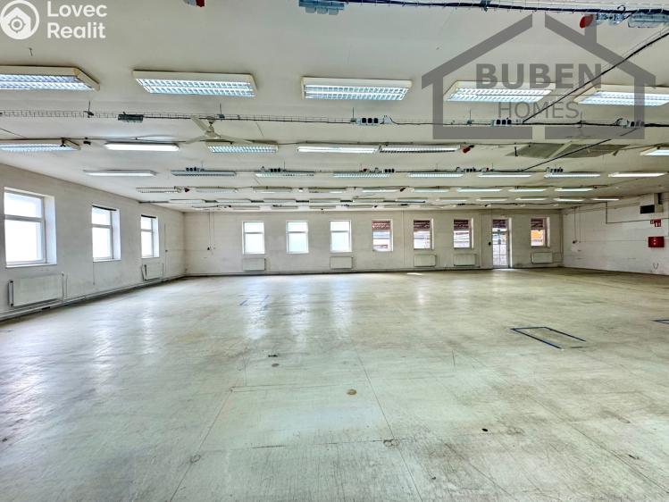 Аренда производственного цеха Staré Sedliště č. 10