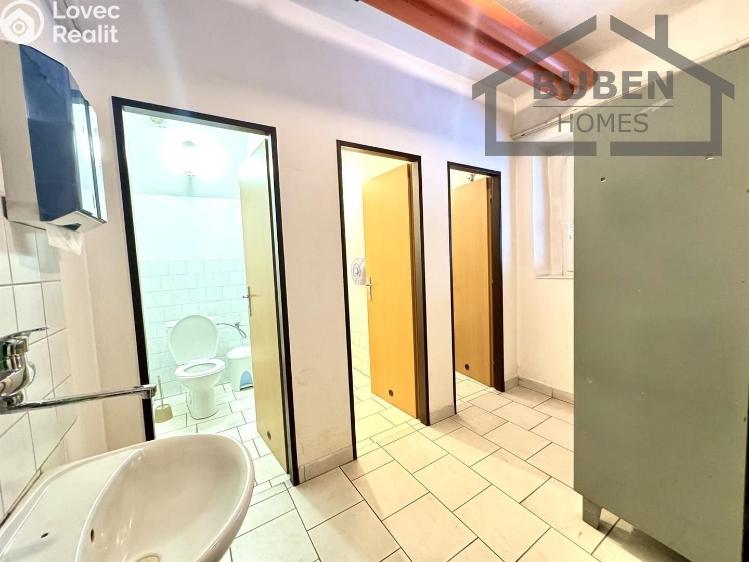 Аренда производственного цеха Staré Sedliště č. 19