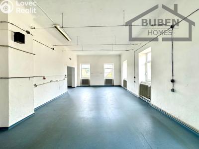 Rent production hall Staré Sedliště č. 4