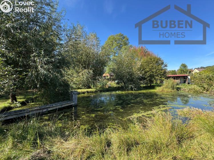 Sale multi-gen house Bor č. 6