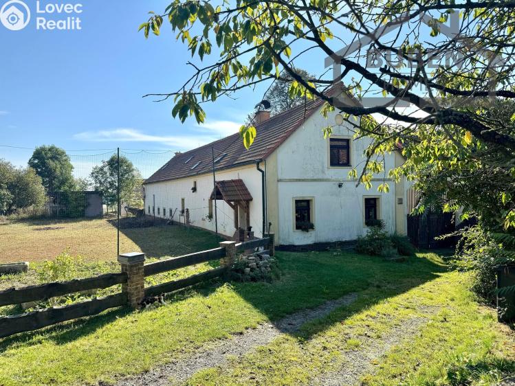 Sale multi-gen house Bor č. 13