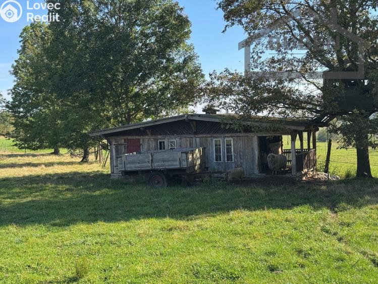 Sale multi-gen house Bor č. 27