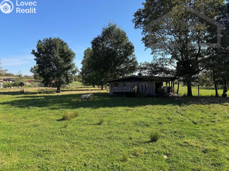 Sale multi-gen house Bor č. 28