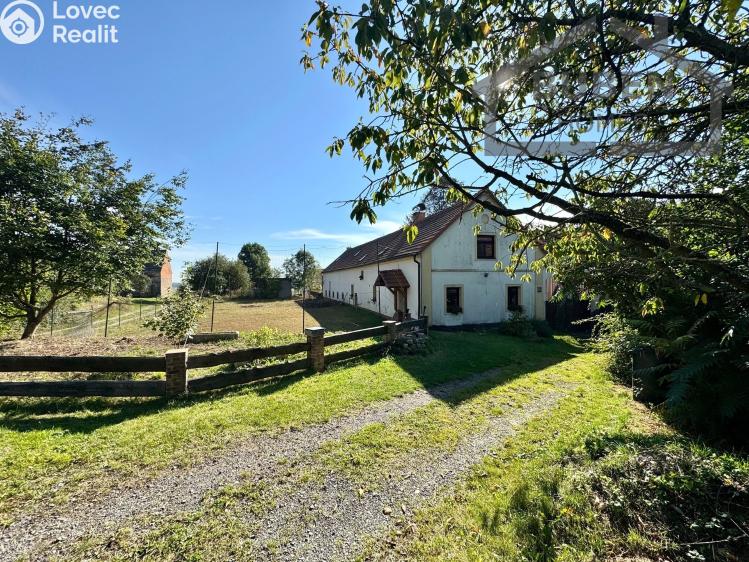 Sale multi-gen house Bor č. 29