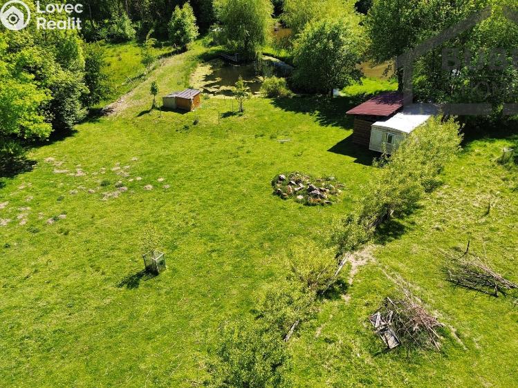 Sale multi-gen house Bor č. 31