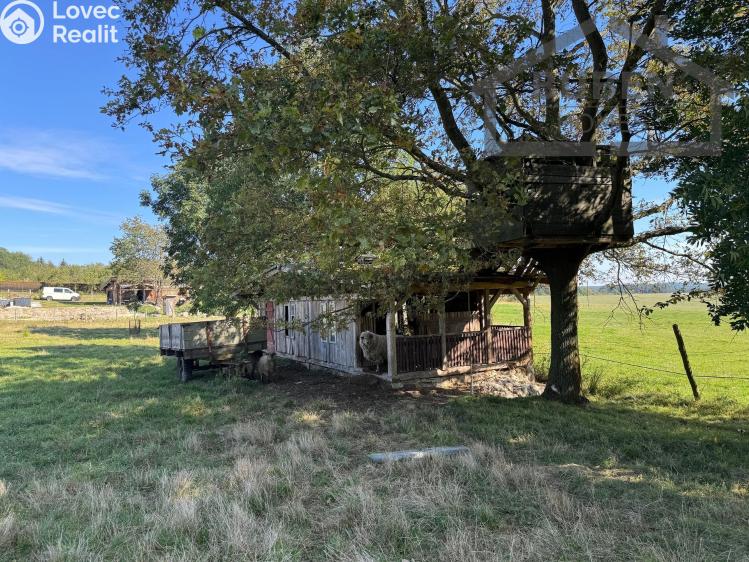 Sale multi-gen house Bor č. 32