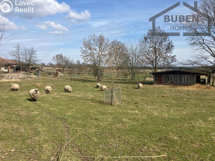 Sale multi-gen house Bor č. 33